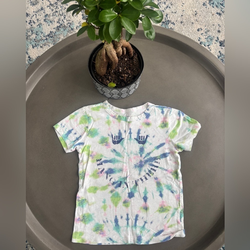Crewcuts Green and Blue Short Sleeve Tee Size 4-5